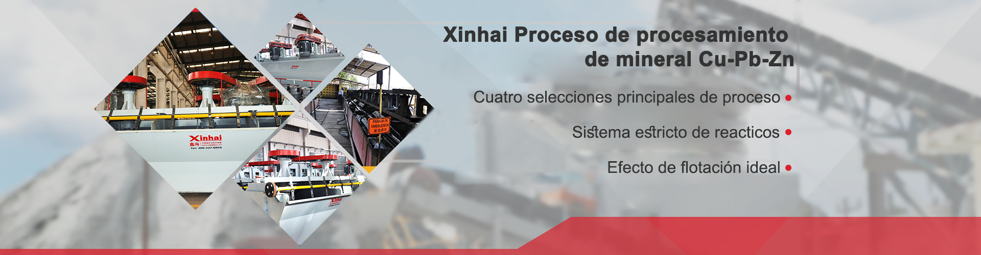 Xinhai Cu-Pb-Zn Ore Dressing Process