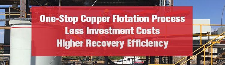 Xinhai copper flotation process