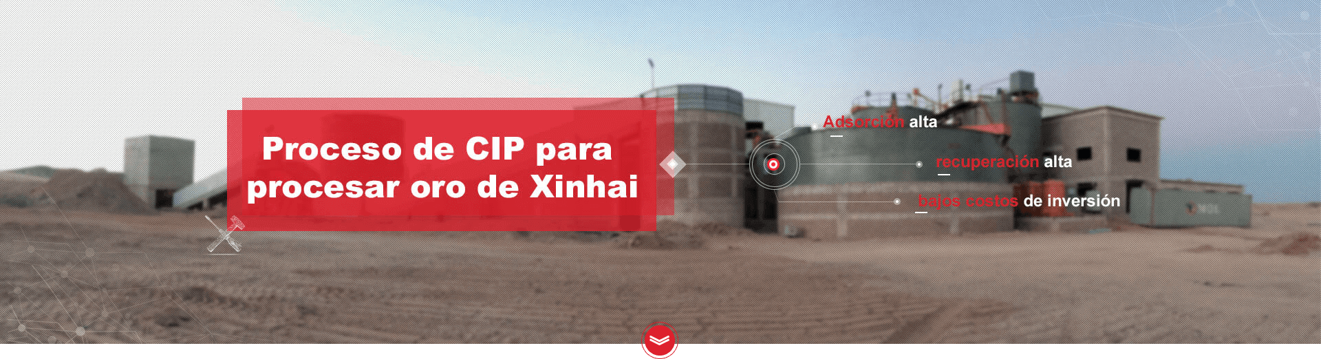 Xinhai Gold CIP Process