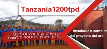 Xinhai Tanzania 1200tpd Gold CIL Plant Construction Finished