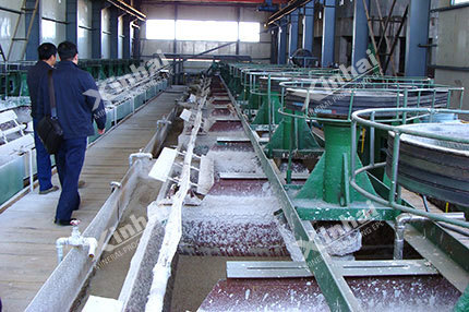 Fluorite Flotation Process